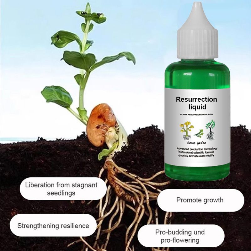 👍[Recommended by plant experts]🌿Plant and Flower Activation Liquid Solution-（Great Sale⛄）