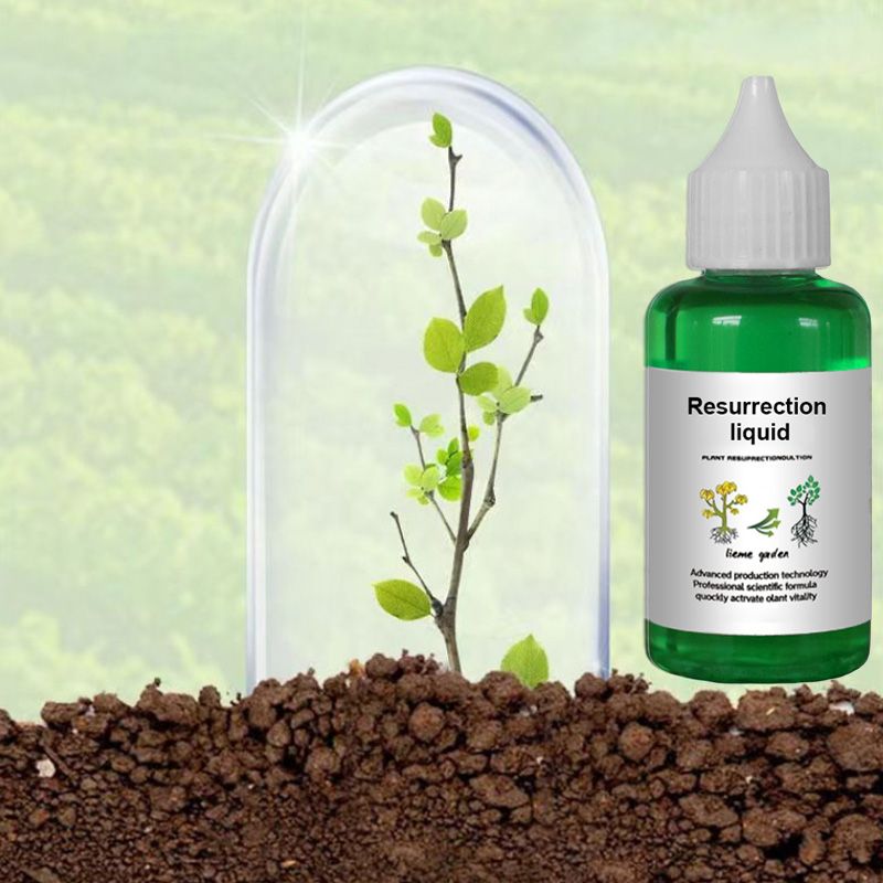 👍[Recommended by plant experts]🌿Plant and Flower Activation Liquid Solution-（Great Sale⛄）